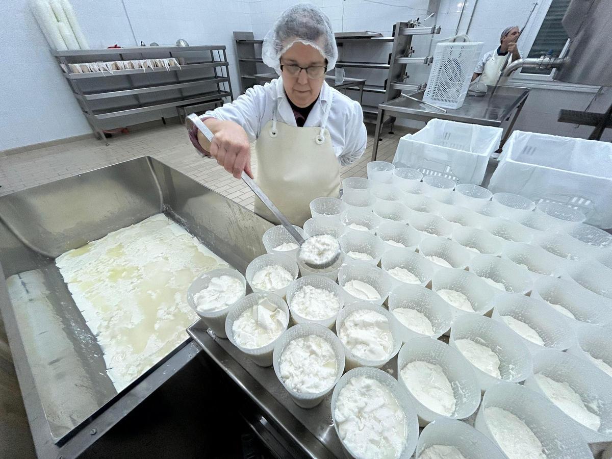 EN IMÁGENES: La quesería La Arquera y El Guaje, de Salas, "a pleno rendimiento" en la producción de Afuega'l Pito