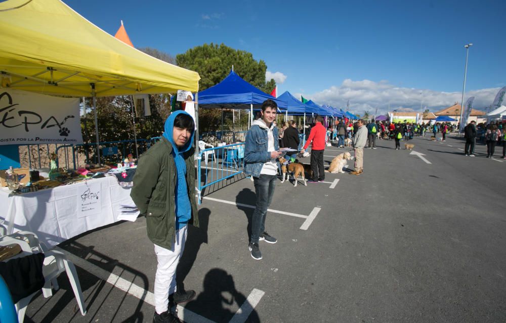 Can We Run: Gran carrera de perros para la concienciación animal