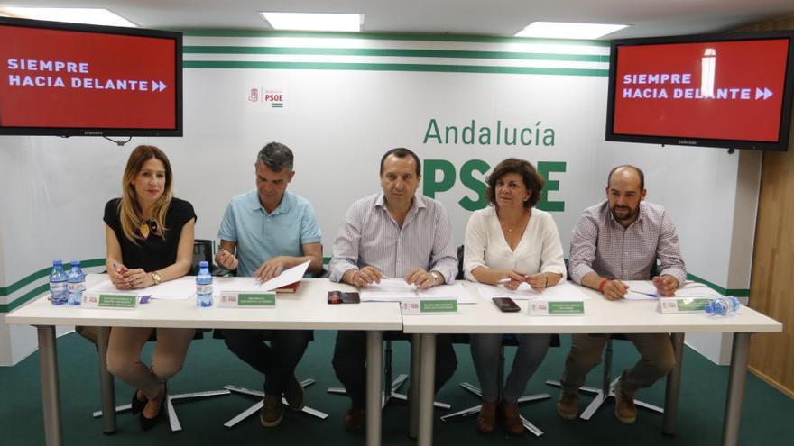 Imagen de la Comisión Ejecutiva Provincial del PSOE de Málaga