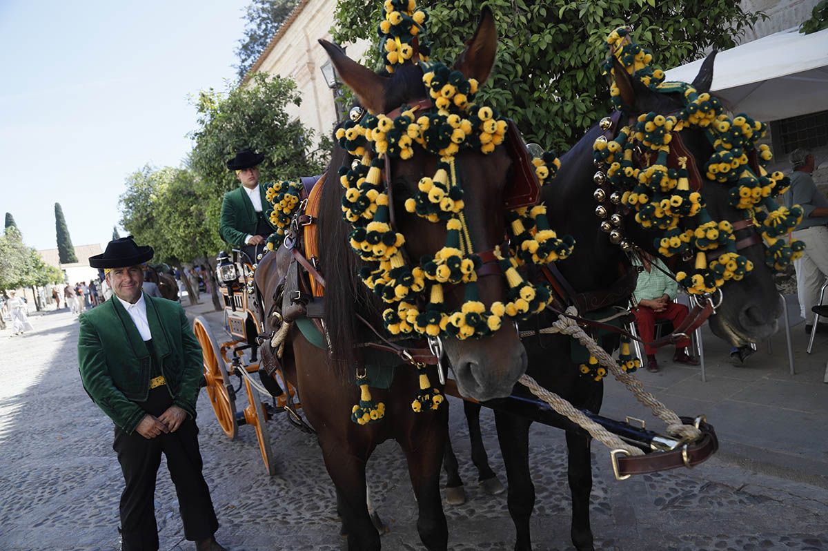 Concurso de atalaje de Córdoba en Cabalcor