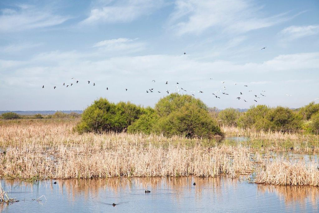 Huelva, de Doñana a Jabugo
