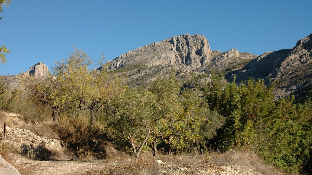 Font del Molí hasta la Font de Partegat.