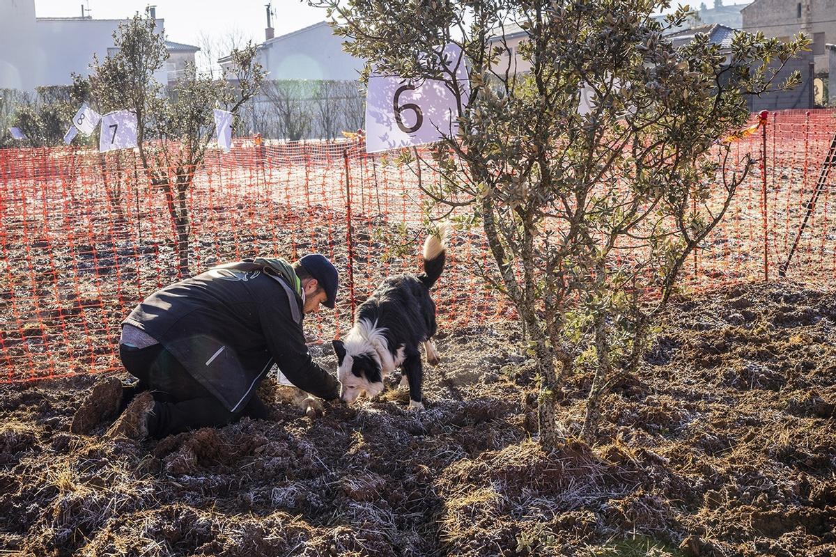 Un momento de un campeonato, en una imagen de archivo.