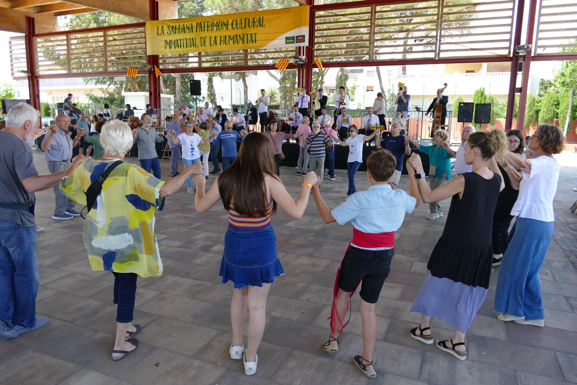 Les sardanes ressonen en el quaranta-vuitè aplec de la sardana