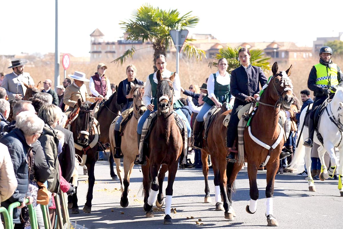 los caballos reinan en Córdoba el 28F