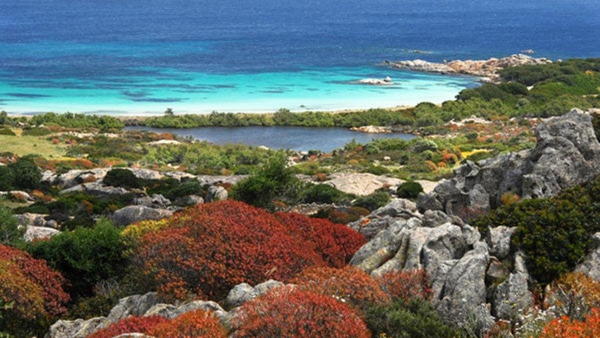 Asinara.