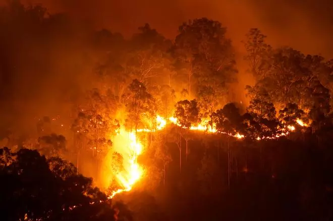 Los expertos hablan: los incendios forestales aumentarán a niveles insospechados