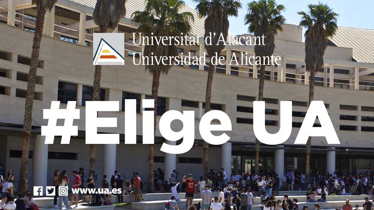 Universidad de Alicante