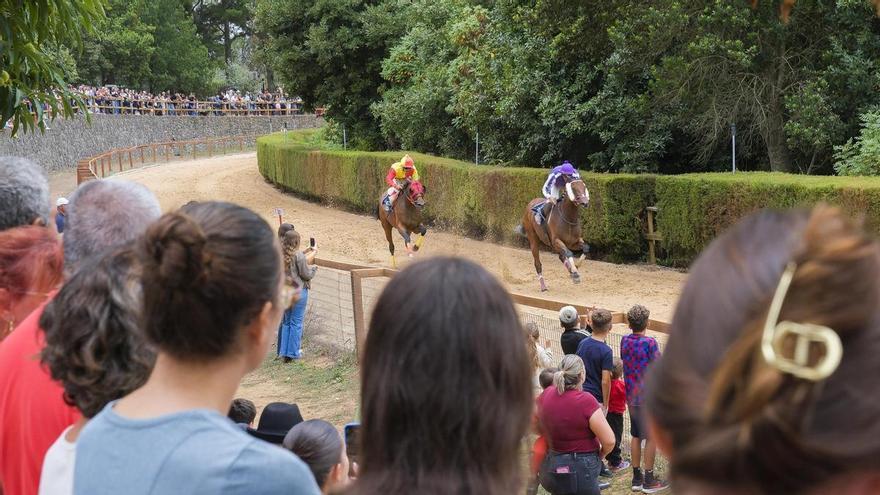 Don Quijote triunfa con dos victorias en el arranque de la Copa Hípica de Valleseco