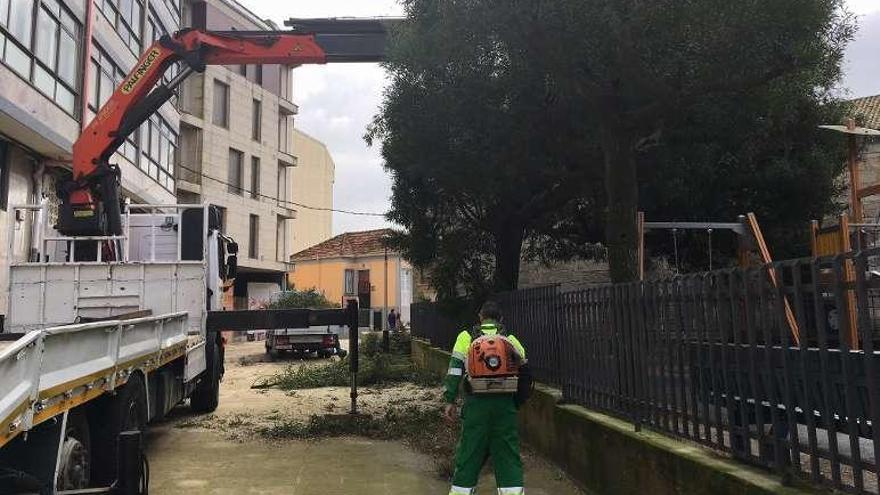 Silleda realiza labores de poda en zonas verdes