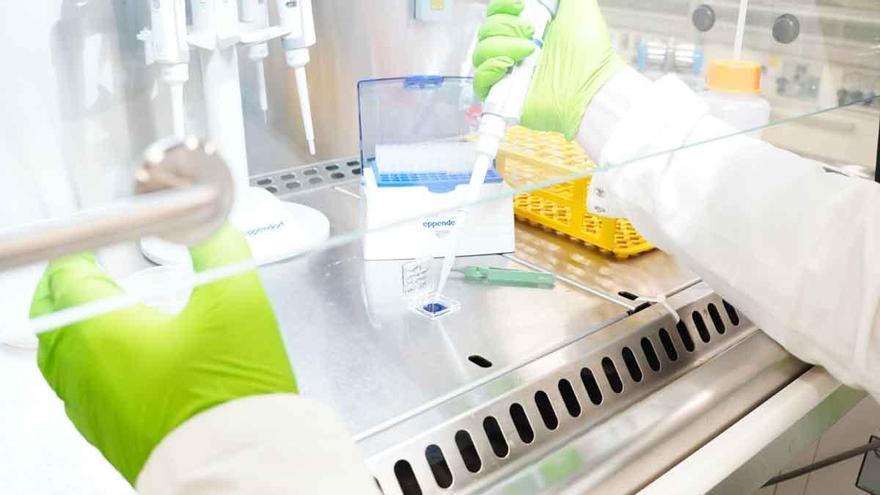 El sistema nervioso desempeña un papel activo en el desarrollo del cáncer de páncreas, según una nueva evidencia