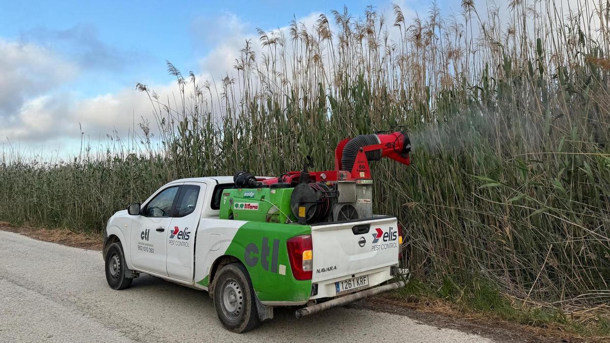 Una plaga de mosquitos dispara las picaduras y las quejas en Santa Pola