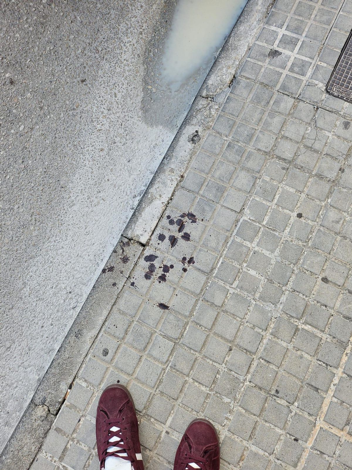 Sangre en la acera, en el lugar de la agresión.
