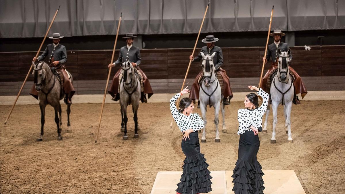 Espectáculo Pasión y duende del caballo andaluz durante una representación internacional, en Eslovenia.