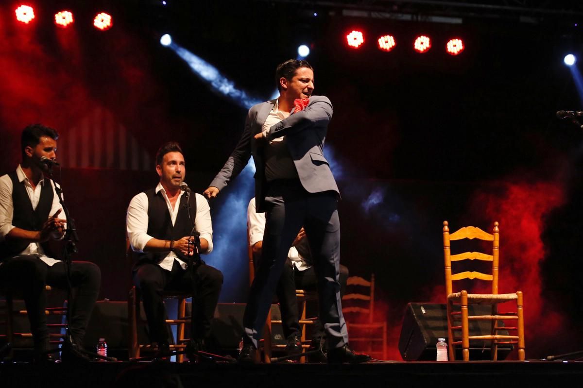 FOTOGALERIA / Las mejores imágenes de la Noche Blanca del Flamenco