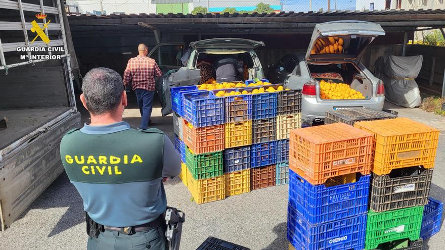 Detienen a doce personas por robar 163 toneladas de cítricos en Valencia
