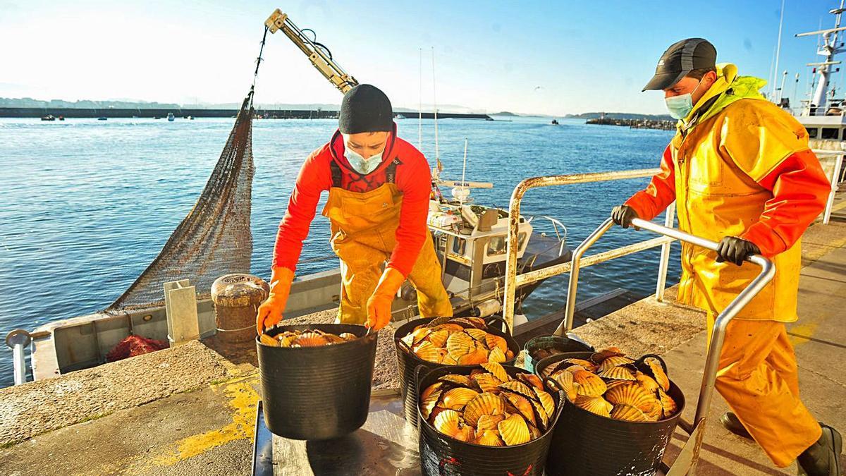 En pocas horas fueron muchos los barcos que ya habían alcanzado el máximo permitido. |  // I. ABELLA