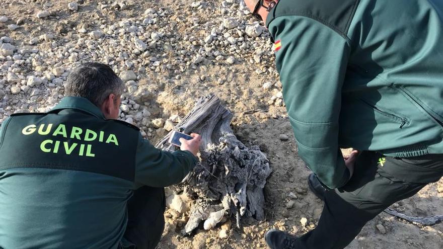 La Guardia Civil destruye una granada de la guerra civil hallada en Crevillent