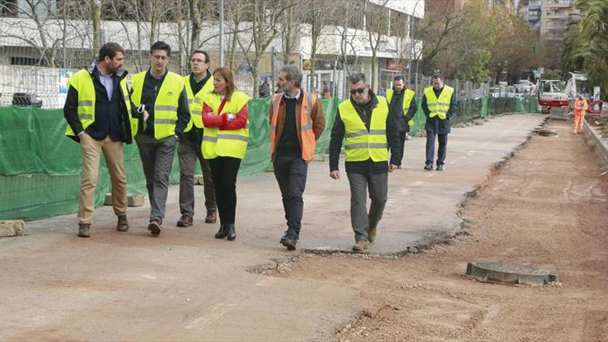 La semipeatonalización de Viena, en Cáceres, no afectará a los cedros de su mediana