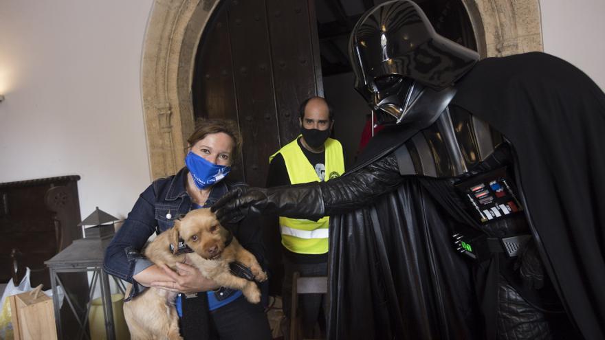 El lado oscuro, de parte de los perros - La Nueva España - Vimarsana News
