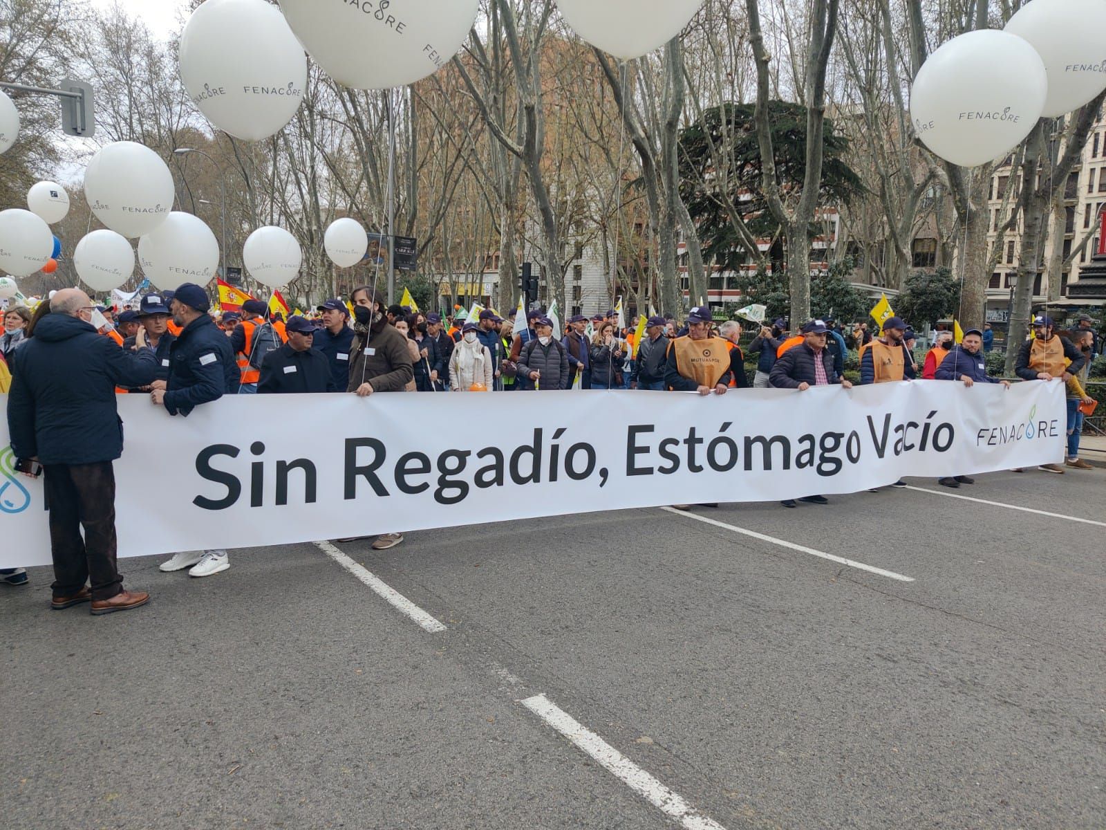 Arranca la manifestación en defensa del campo en Madrid con miles de agricultores y regantes de la provincia