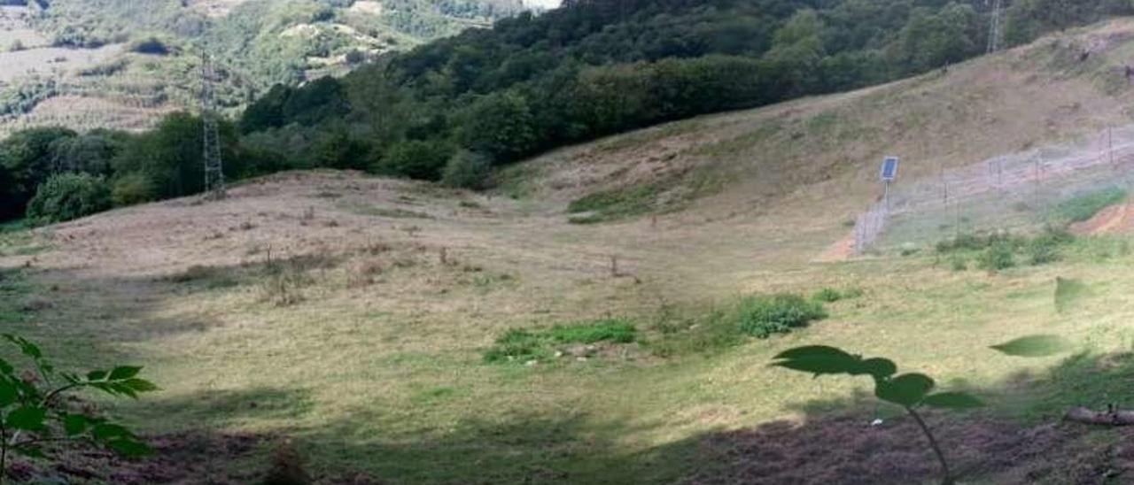 La zona en la que estará la granja de pollos ecológicos, en El Carmen.