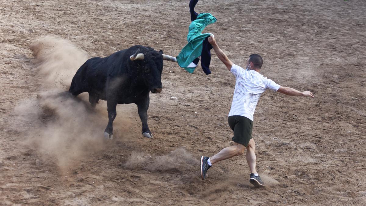 Un 'rodaor' quiebra al toro que ha abierto la veda en Nules.