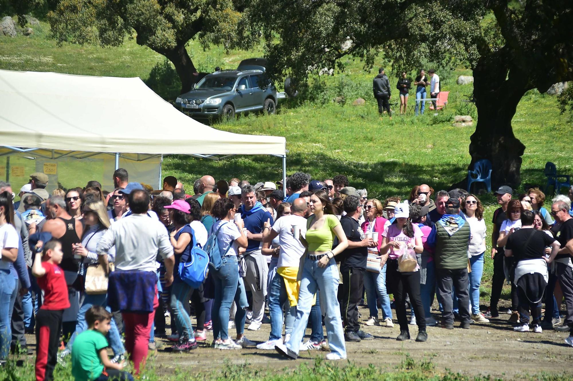 Las imágenes de la romería de la Virgen del Puerto en Plasencia
