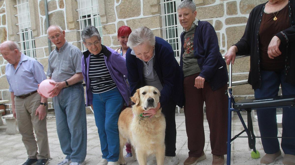 Odie, el compañero favorito de los usuarios de la Residencia Hermanos Prieto de O Carballiño