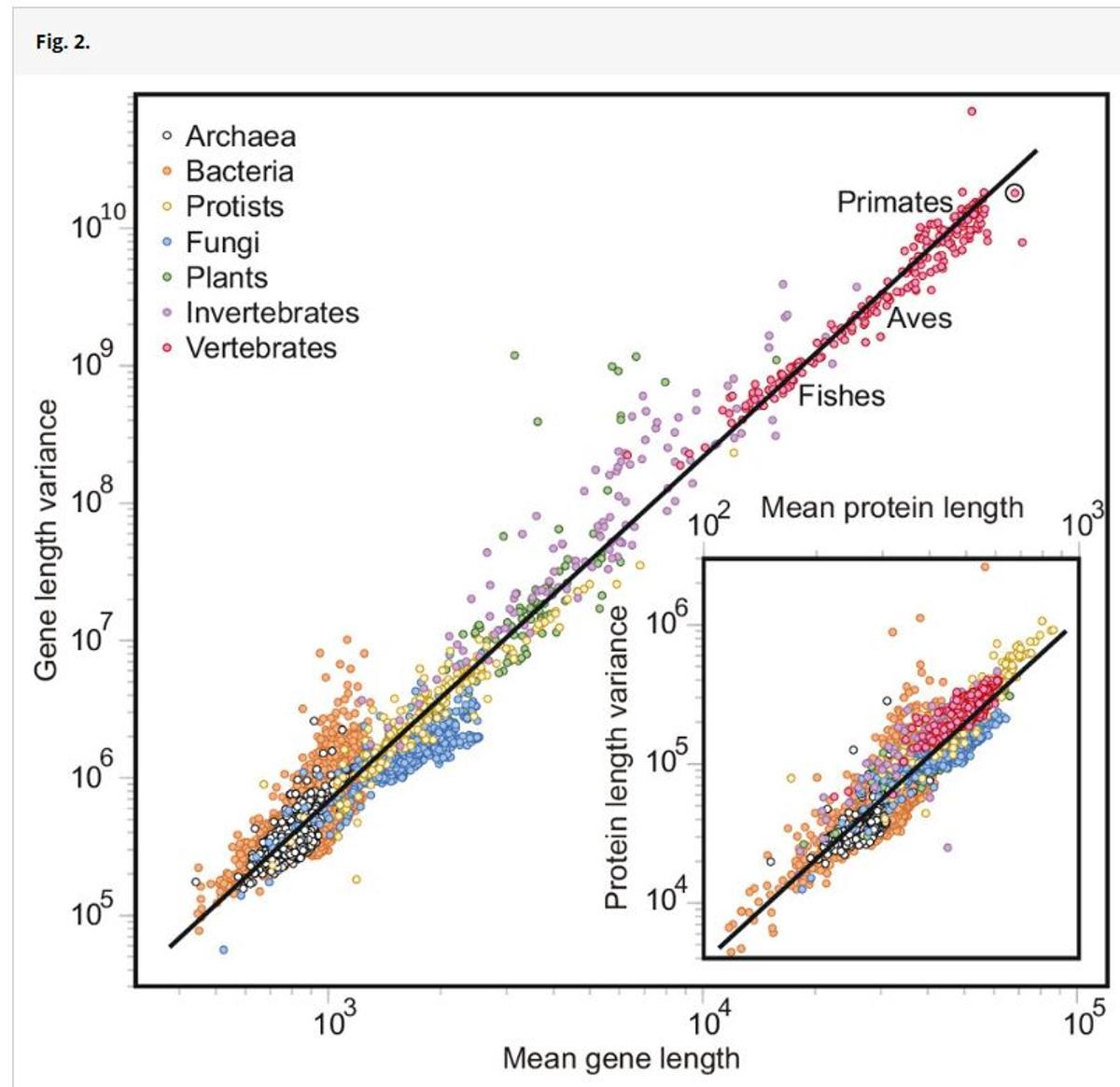 Uno de los gráficos de la investigación coliderada por Fernando J. Ballesteros