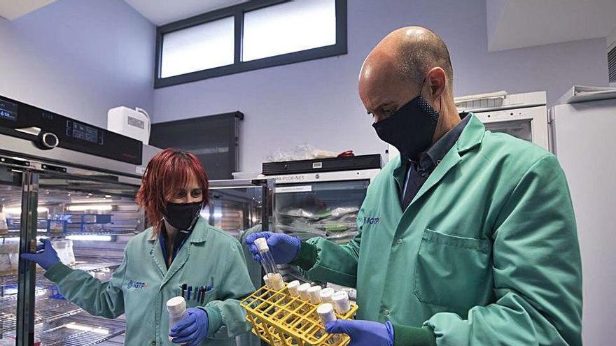 Cardona, amb una companya de feina, supervisant material del laboratori