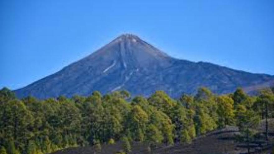 Cinco islas de Canarias, en alerta de riesgo de incendio forestal