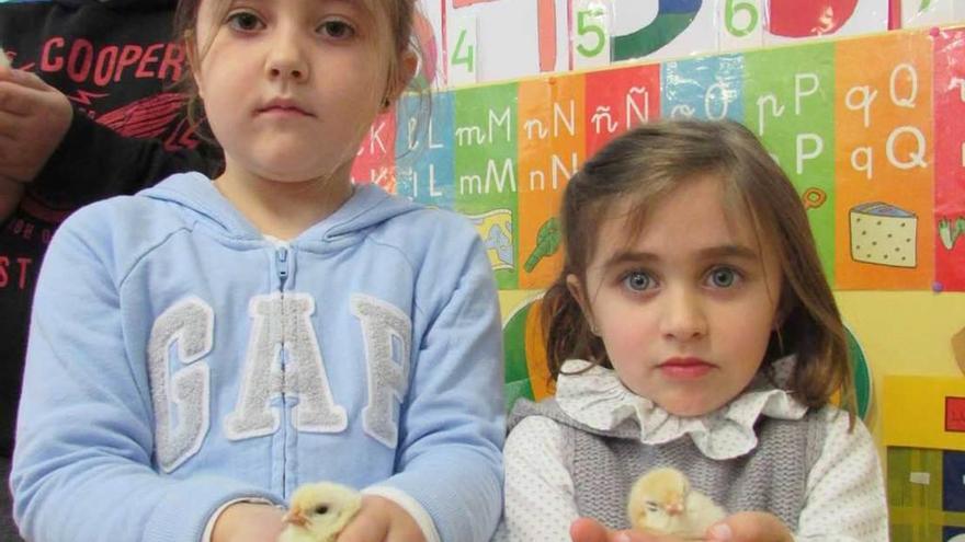 A la izquierda, Emma Rodríguez y Telma Herrero, con dos polluelos; a la derecha, Mercedes Meré y Deva Fernández, junto a la zona de control de calidad de las pitas.