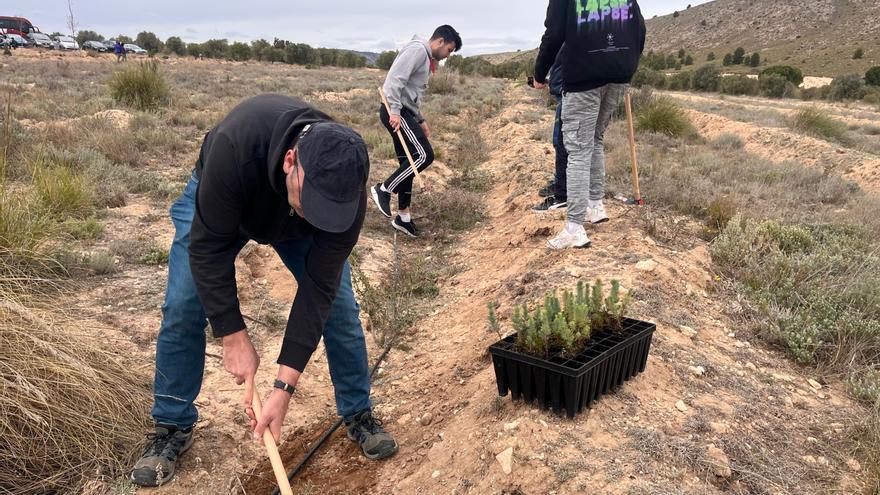 Gran éxito de participación en la jornada de reforestación &quot;Un árbol por Europa&quot; de Villena