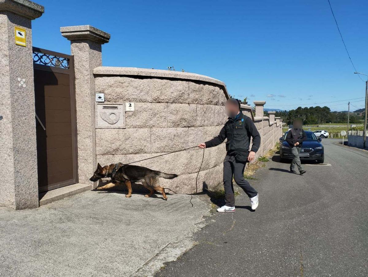 Un agente con uno de los perros de la unidad cinológica.