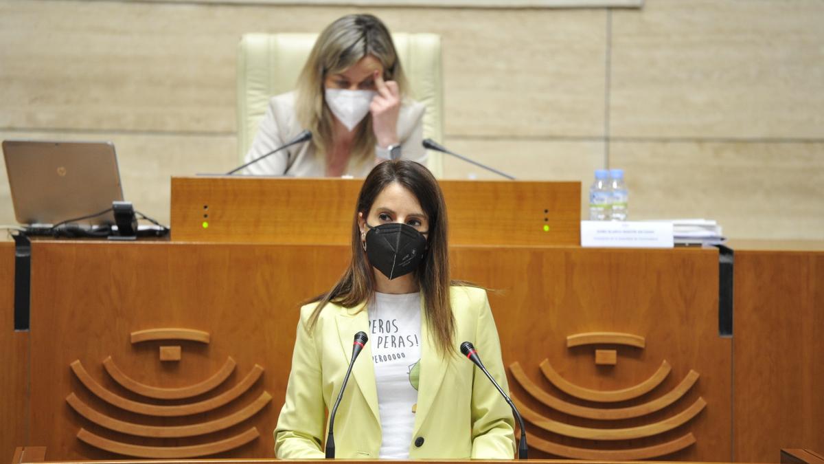 La consejera de Turismo, Cultura y Deportes, Nuria Flores, en el pleno de la Asamblea.