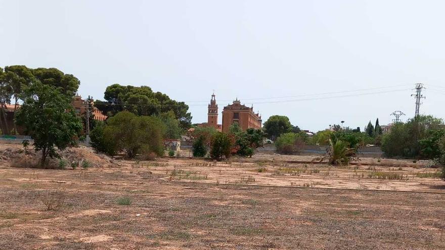 Los agricultores de Moncada piden auxilio ante el abandono de su campo