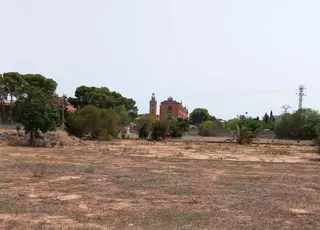 Los agricultores de Moncada piden auxilio: "El campo se nos muere"