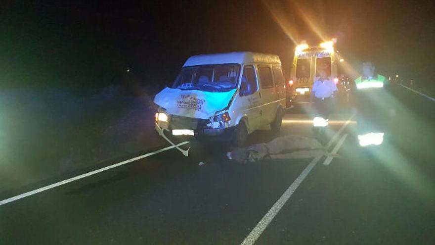 Un conductor mata a una burra en Tuineje
