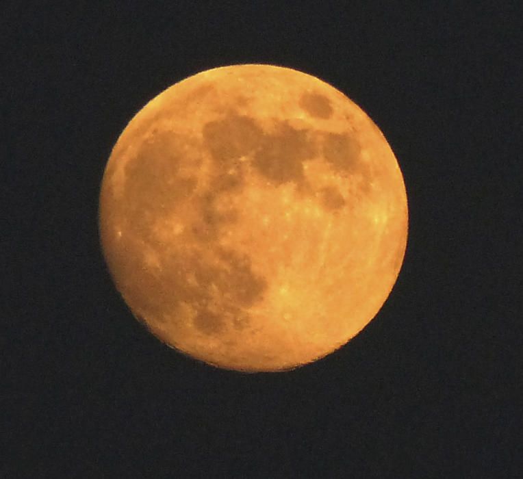 Lluna plena. Brillant i preciosa, la perfecta circumferncia de la lluna plena de la setmana passada.
