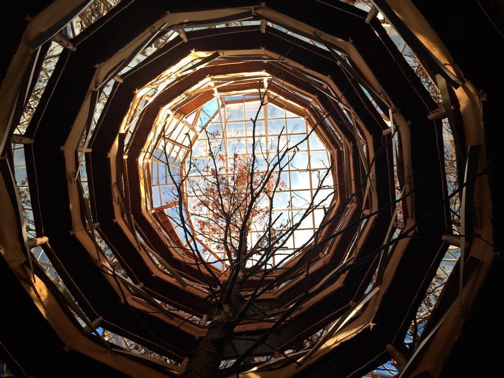 Huilo Huilo Montaña Mágica Lodge