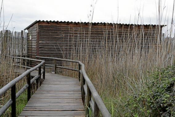 Das Naturschutzgebiet S'Albufera wird 30 Jahre alt - und steckt in einer tiefen Krise. Umweltschützer schlagen Alarm, die Politik bleibt weitgehend untätig.