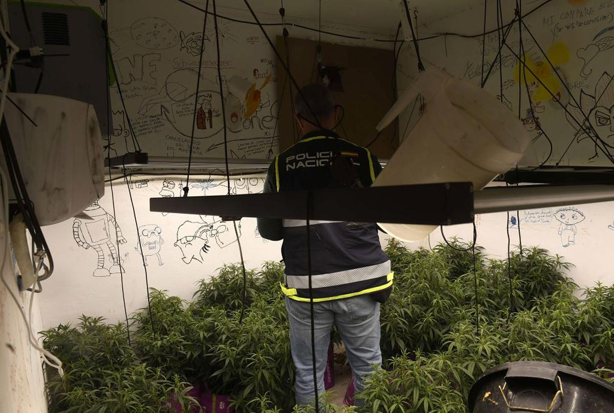 Las imágenes de la redada contra el narcotráfico en el Polígono de La Paz en Murcia Las imágenes de la redada contra el narcotráfico en el Polígono de La Paz en Murcia