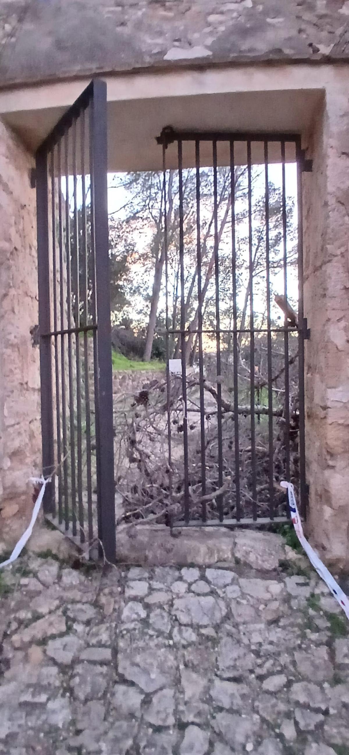 Daños provocados por el fuerte viento en Xàtiva.