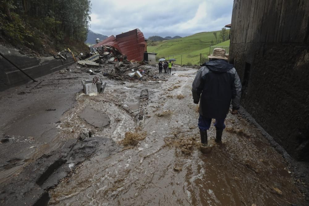 Temporal en Asturias: Un argayo sepulta una ganadería en Salas