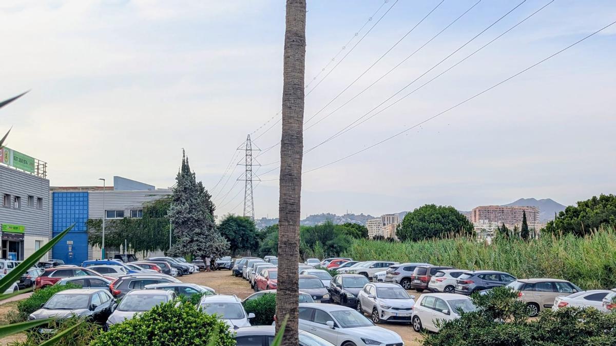 El polígono Alameda denuncia el uso de zonas verdes como aparcamiento en la Feria de Málaga.
