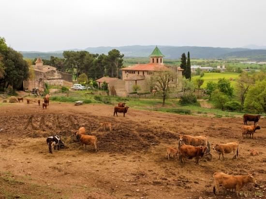 Meteoimatges Moianès