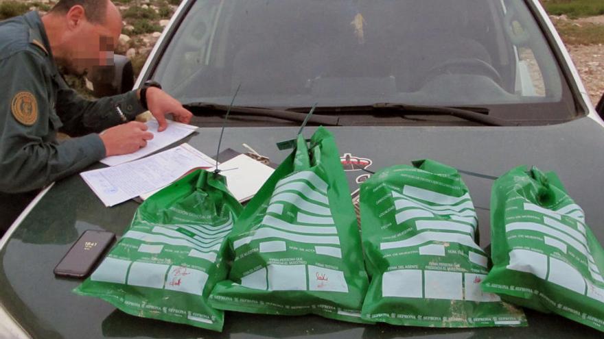 Investigan a un vecino de Fortuna por la muerte violenta de cuatro galgos