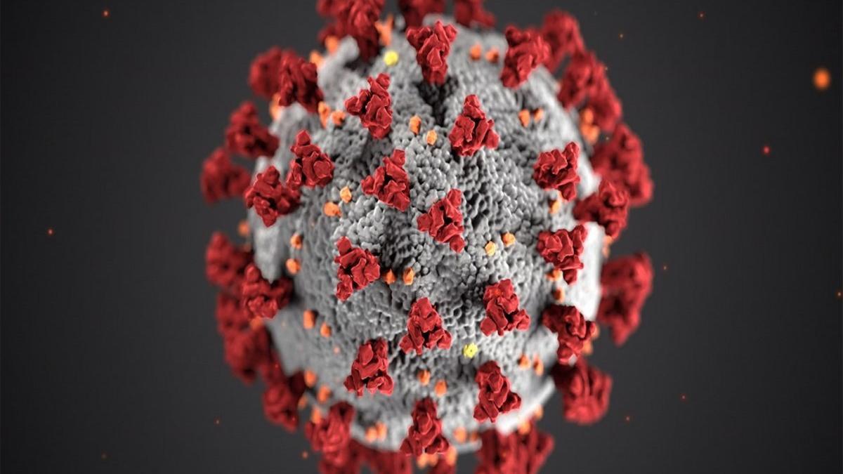 Sanidad registra 1.690 contagios por coronavirus en las últimas 24 horas sin los datos de Madrid