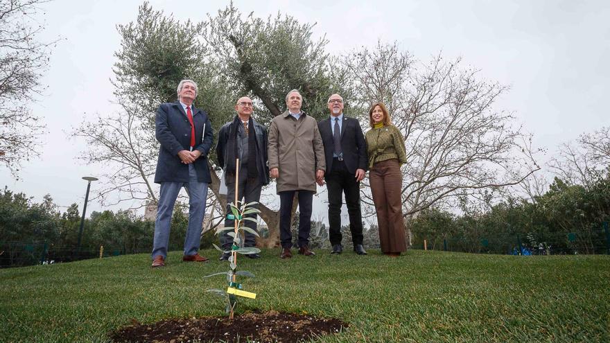 Nace el Jardín de la Paz, con 22 olivos en el parque de la Aljafería, como símbolo de paz y tolerancia